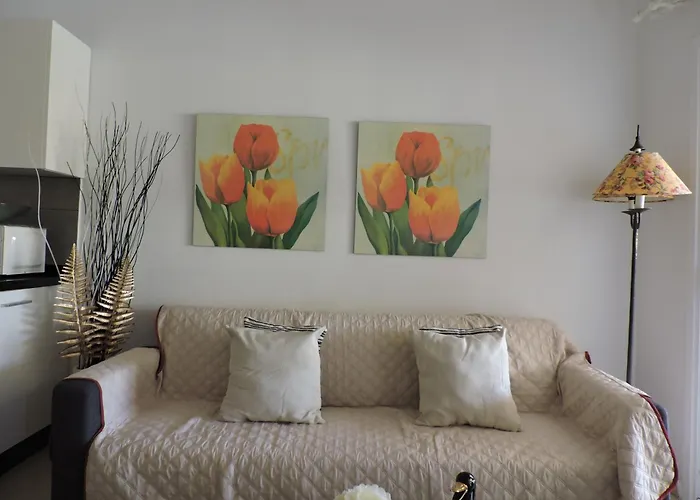 Yucca Park Fanabe